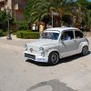 Montevago 2010 (270)